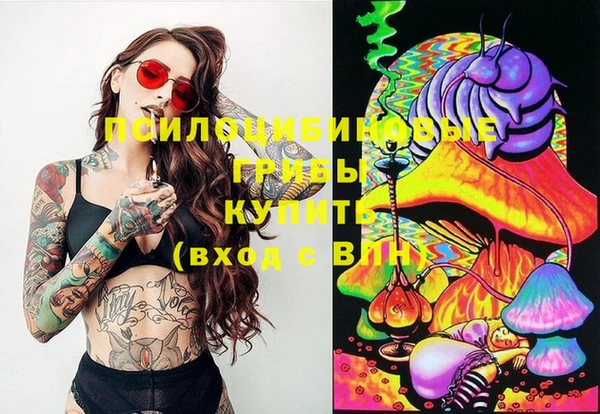 молекула духа Нягань