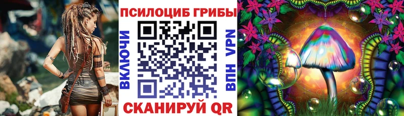 Галлюциногенные грибы Magic Shrooms  купить наркотики цена  Кировград 